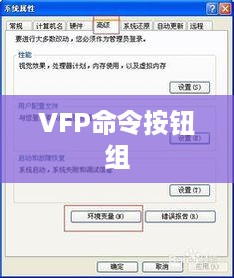 VFP命令按钮组名称修改指南