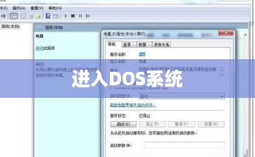 掌握DOS命令，如何进入DOS系统