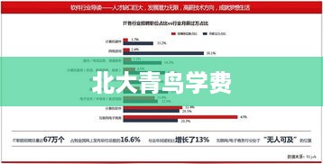北大青鸟学费一年多少钱，深度解析与了解  第1张