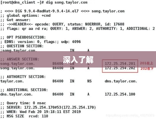 什么是反向域名解析？一篇文章带你深入了解