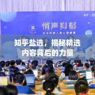 知乎盐选，揭秘精选内容背后的力量