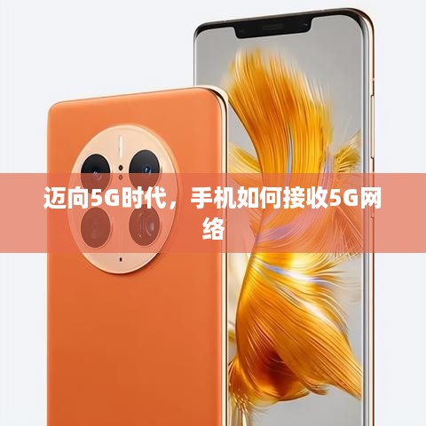 迈向5G时代，手机如何接收5G网络