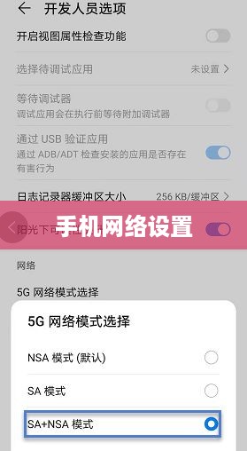 如何设置手机以使用5G网络