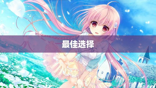 探究最佳Galgame解压软件的选择  第1张