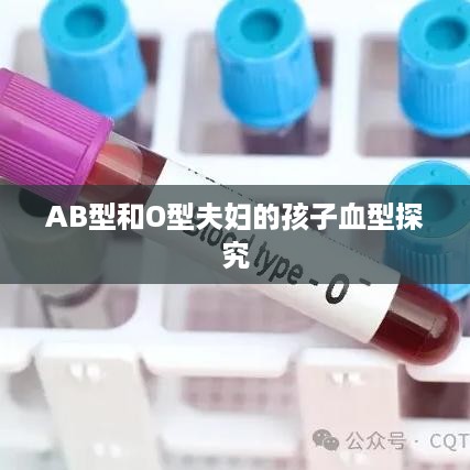 AB型和O型夫妇的孩子血型探究  第1张