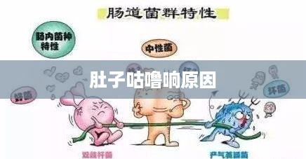 肚子咕噜咕噜的响，原因解析与应对措施