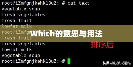 揭秘Which的意思与用法，探索关键词在日常生活中的多重角色  第1张