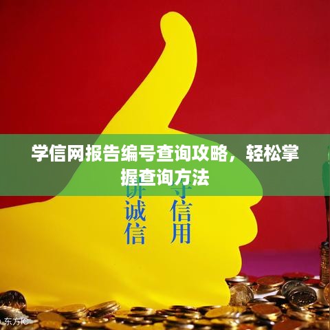学信网报告编号查询攻略，轻松掌握查询方法