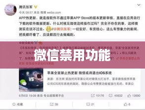 苹果iPad上微信禁用功能详解