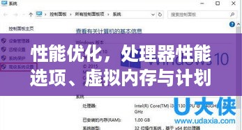 性能优化，处理器性能选项、虚拟内存与计划管理策略探讨