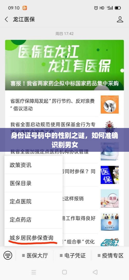 身份证号码中的性别之谜，如何准确识别男女