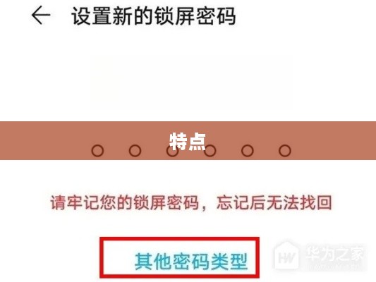 华为手势密码的种类与特点