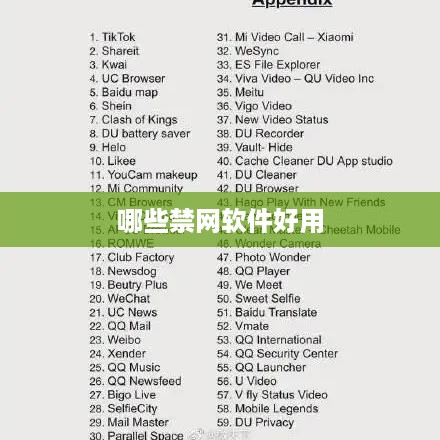 哪些禁网软件好用