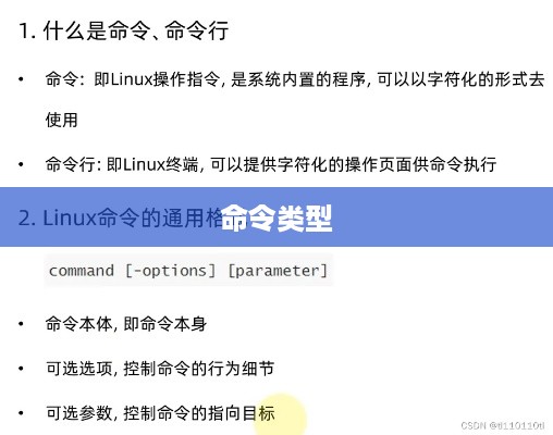 命令的主要类型及其应用领域，探究四个核心类别