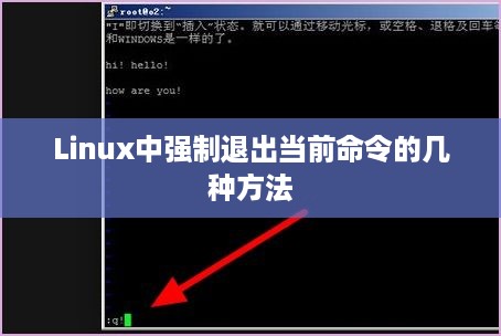 Linux中强制退出当前命令的几种方法