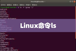 Linux命令ls用法详解