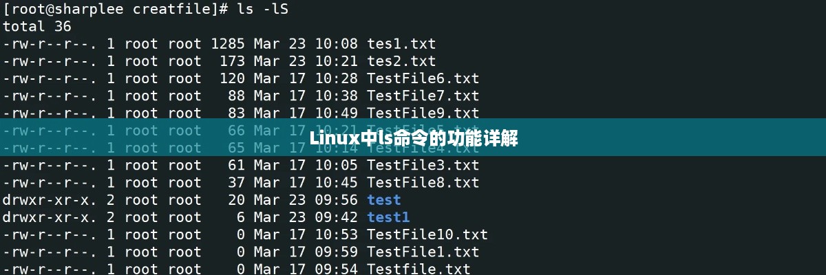 Linux中ls命令的功能详解
