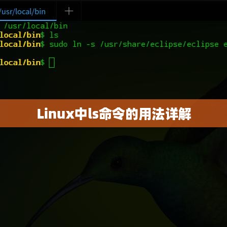 Linux中ls命令的用法详解