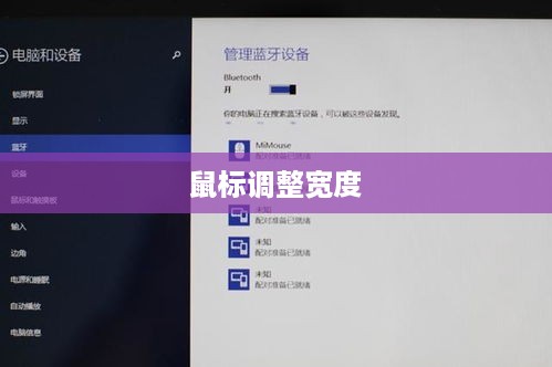 鼠标如何调整宽度选择，操作指南与技巧解析