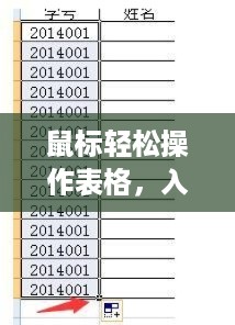 鼠标轻松操作表格，入门指南与技巧解析