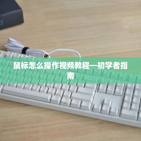 鼠标怎么操作视频教程—初学者指南