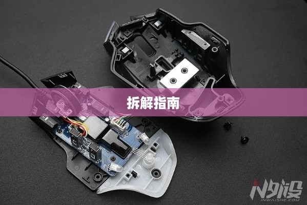 狼蛛鼠标拆解指南