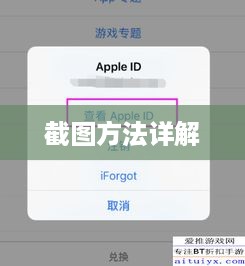 苹果手机截图的三种方法详解