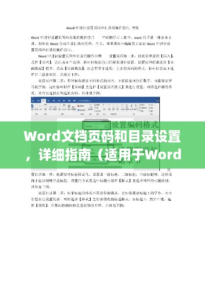 Word文档页码和目录设置，详细指南（适用于Word 07版）