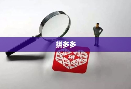 如何关闭拼多多的免密支付功能