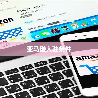 亚马逊入驻条件及费用全面解析