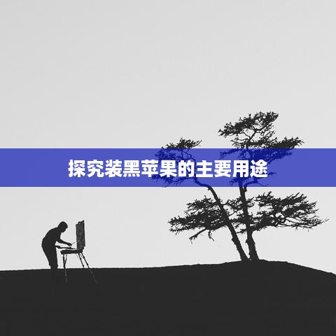 探究装黑苹果的主要用途