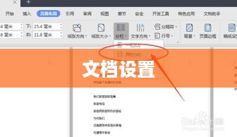如何设置文档一页两版