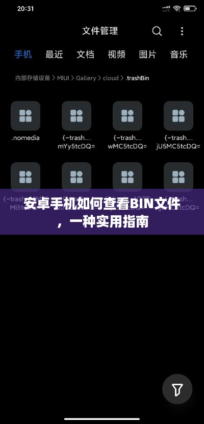 安卓手机如何查看BIN文件，一种实用指南