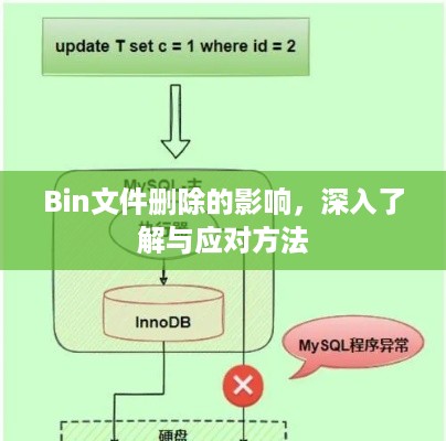 Bin文件删除的影响，深入了解与应对方法