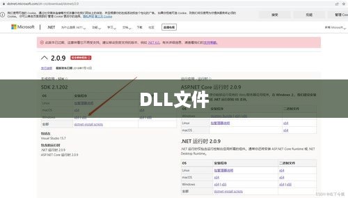 揭秘.dll.del文件的真实身份