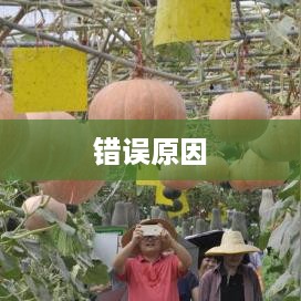 错误原因