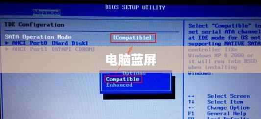 电脑按F2键蓝屏怎么办？解决方法与常见问题分析