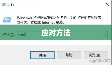 如何应对bcrypt.dll丢失问题