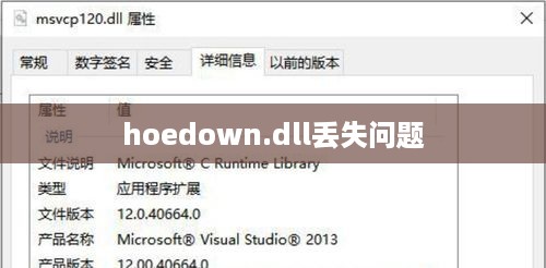 解决hoedown.dll丢失问题的详细指南