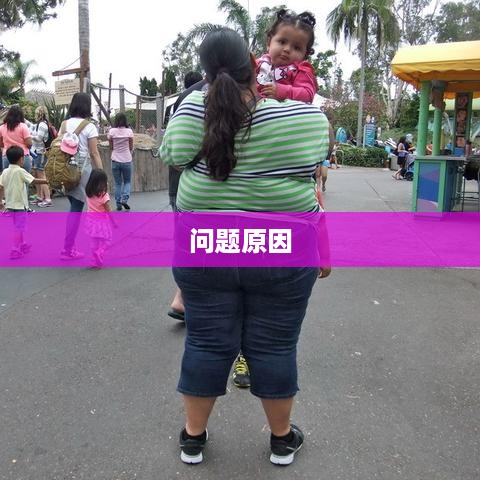 问题出现的原因