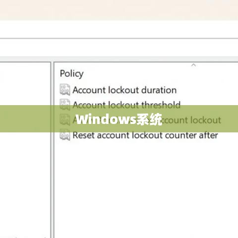 Windows系统下如何查看自己的密钥