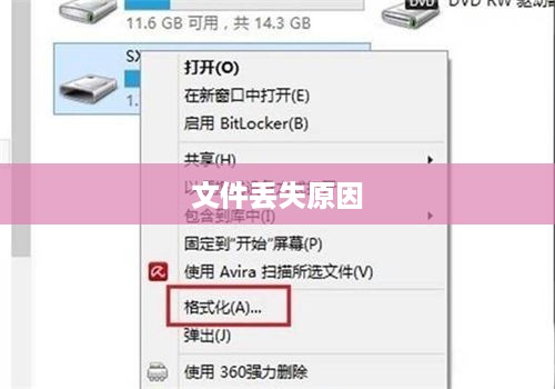 文件丢失原因分析