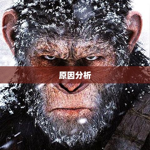 常见原因