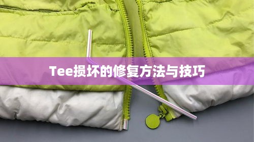 Tee损坏的修复方法与技巧