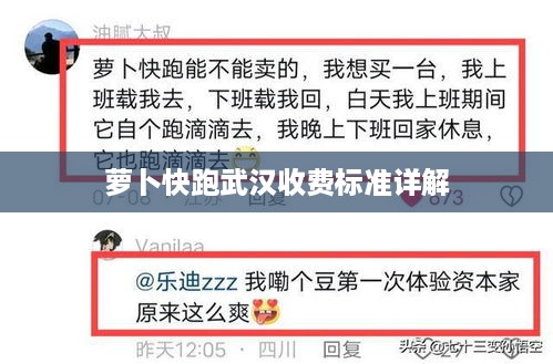 萝卜快跑武汉收费标准详解