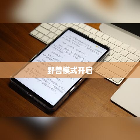 联想拯救者野兽模式开启指南
