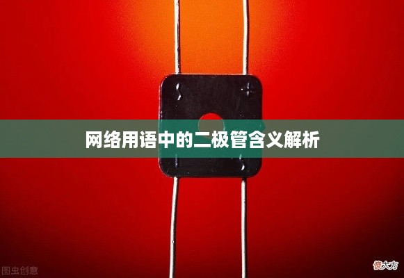 网络用语中的二极管含义解析