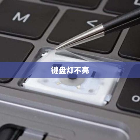 键盘灯不亮按键没反应怎么回事，故障解析与解决方案