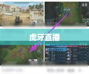 虎牙直播如何观看直播间人数—全面解析