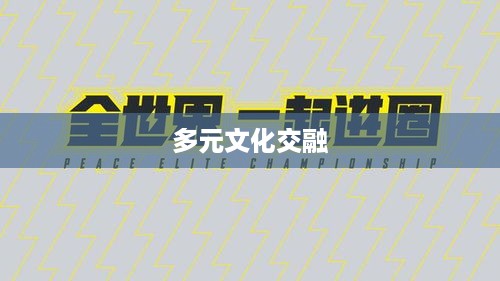 哔哩哔哩，多元文化交融的平台
